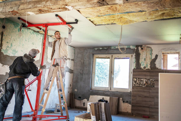 Best Insulation Installation Services in Laguna Vista, TX