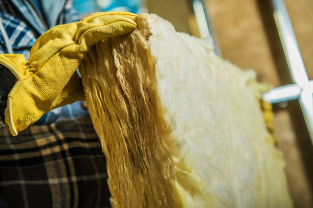 Best Insulation for Specific Applications in Laguna Vista, TX
