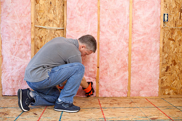 Best Insulation for Specific Applications in Laguna Vista, TX