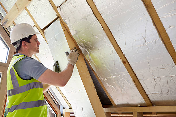 Best Commercial Insulation in Laguna Vista, TX