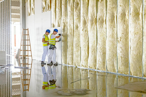 Best Insulation for Specific Applications in Laguna Vista, TX